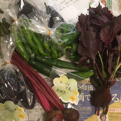 みんなの投稿の画像