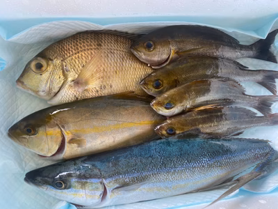 みんなの投稿の画像