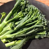 『スティックブロッコリー/茎ブロッコリー 1kg』南房総の農家より直送！