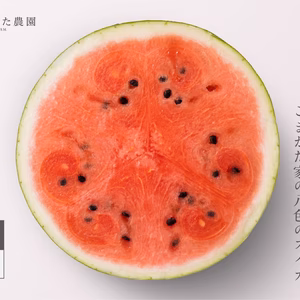 とにかく甘い！プレミアム大玉八色産スイカ「こまがた家の八色のスイカ」