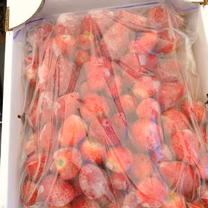 【訳アリ完熟】冷凍いちご1kg～（５種品種おまかせ）