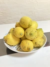 国産レモン訳あり品(県指定特別栽培、10月中旬以降は黄色く色づいてきます)