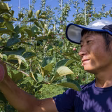 丸山雄一 | 信州マルヤマリンゴ農園