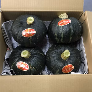 食べきりサイズ小玉カボチャ4個