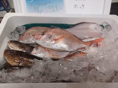 みんなの投稿の画像