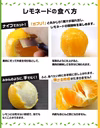 レモン 約2キロ箱込み 訳あり レモネード 食べるレモン サイズ大小