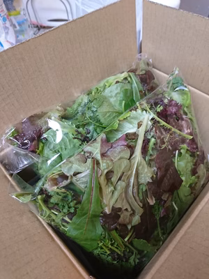 みんなの投稿の画像