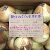 淡路島★減農薬特別栽培★新玉ねぎ  約5kg （約15個）