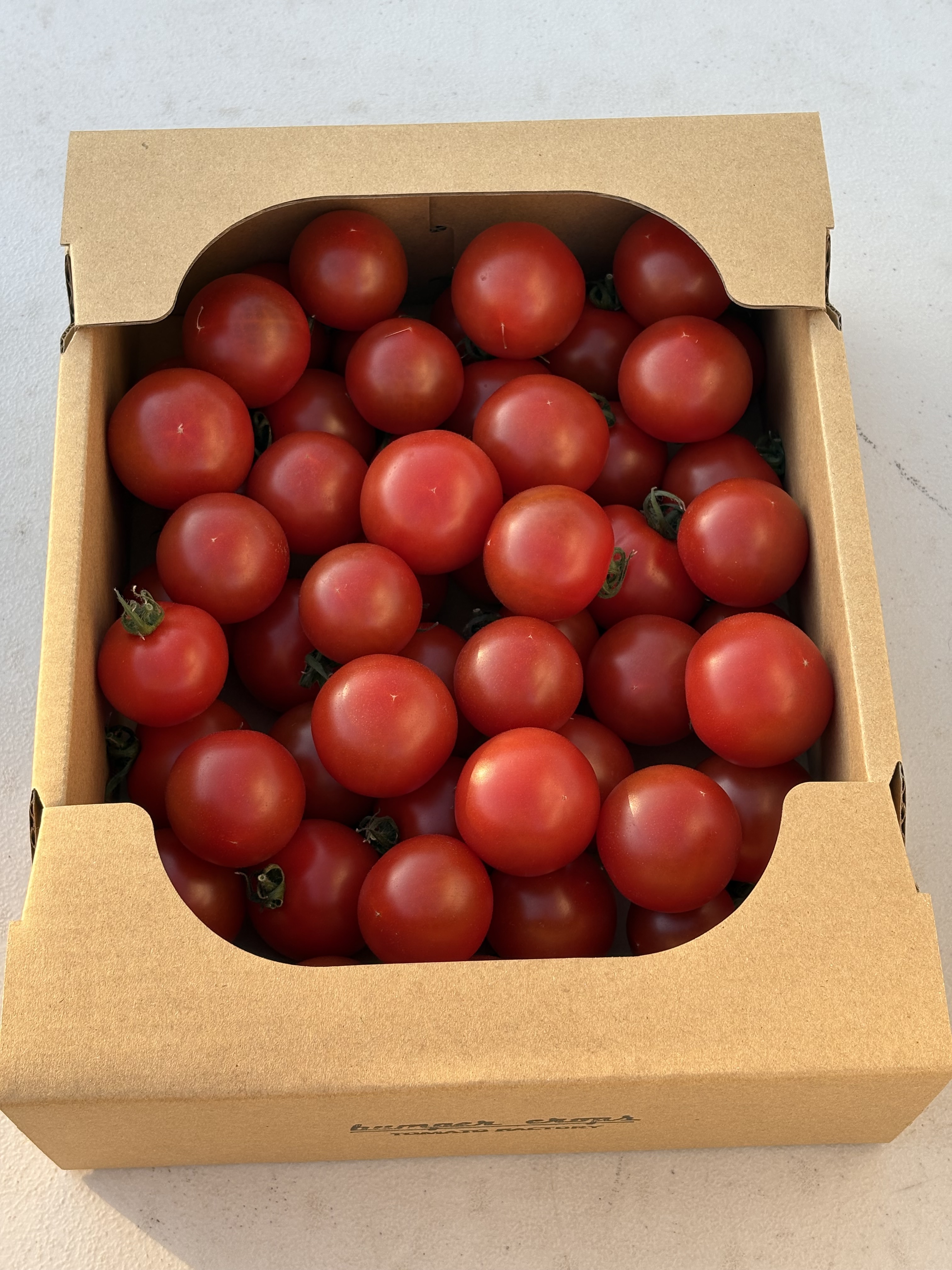 トマト みそら64 | Vilmorin Mikado Japan