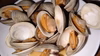 船橋三番瀬ホンビノス貝(1個95～115g)30個入り合計3kg前後