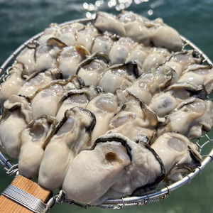 美味しさ、鮮度に自信あり！  広島県産牡蠣むき身　生食用　700g