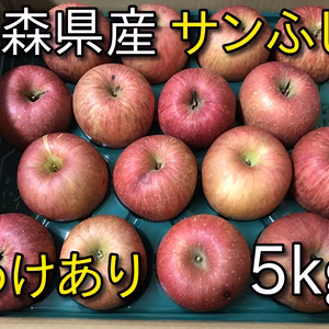 【年末限定商品】1月5日~発送 青森県産サンふじ わけあり 5kg~ 