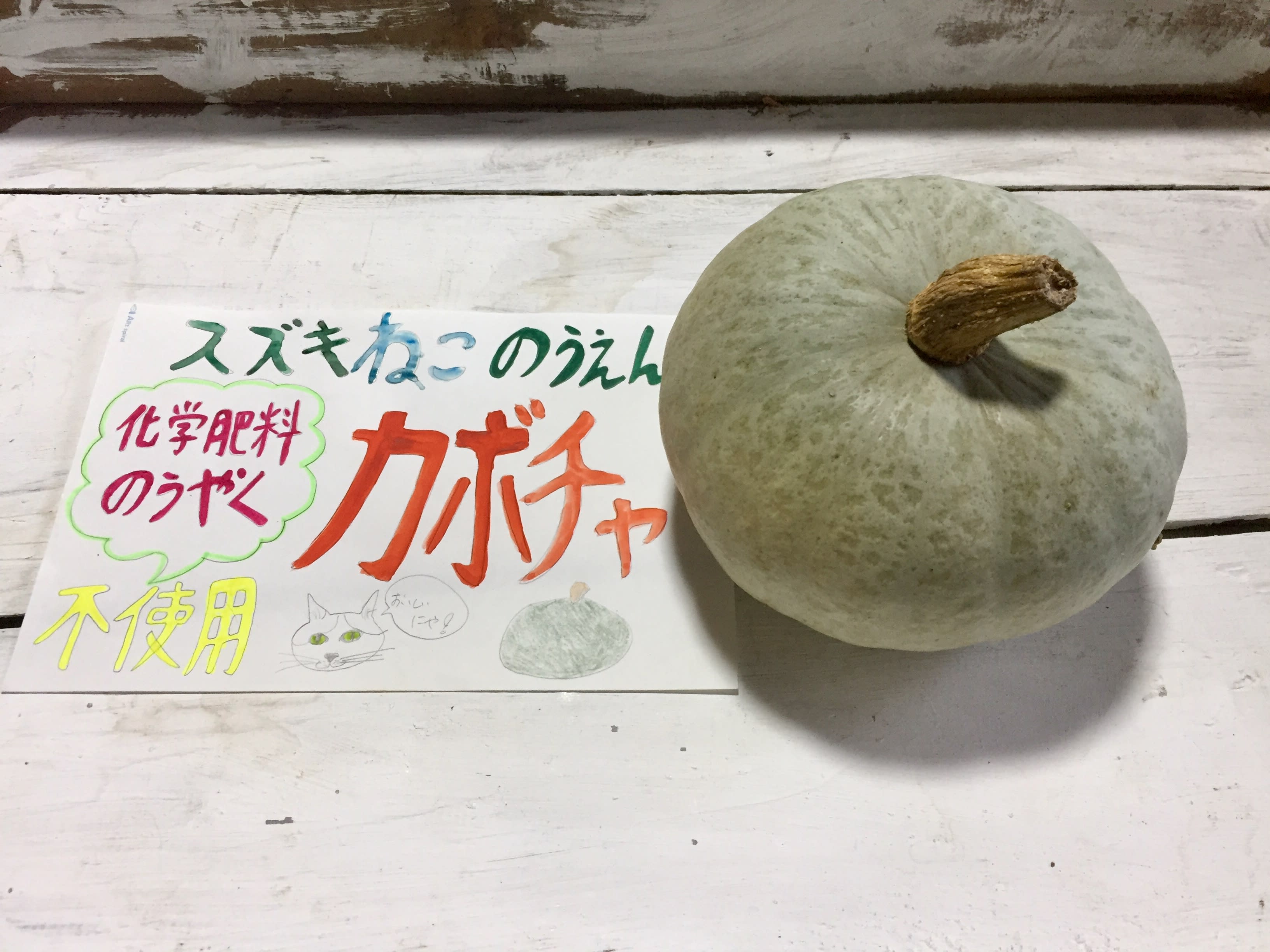 無農薬 自然農法の スズキねこ農園 カボチャ1 5キロ 農家漁師から産地直送の通販 ポケットマルシェ