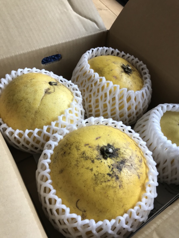 まるかん農園 横尾博之さんへのみんなの投稿 農家漁師から産地直送の通販 ポケットマルシェ