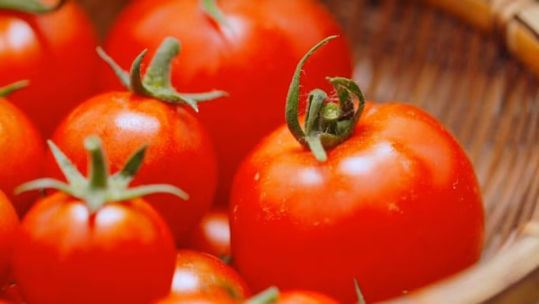 株式会社FromTomato