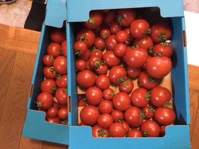 みんなの投稿の画像