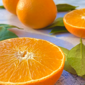  数量限定【ぷるぷる食感】媛果まどんな【家庭用】