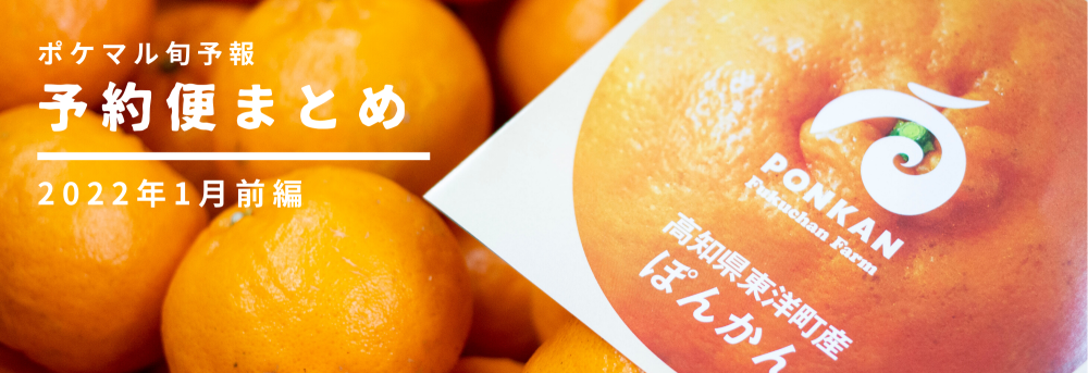 大SACHI専用ページ 午前中 米粉 30kg