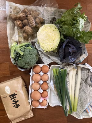 みんなの投稿の画像