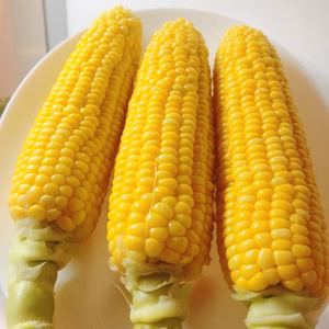 とうもろこし6本＆採りたて野菜5品