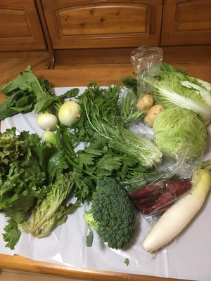 みんなの投稿の画像