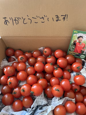 みんなの投稿の画像