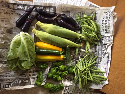 みんなの投稿の画像