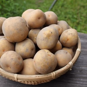 【自然栽培】味付けいらず！おいしいキタアカリ