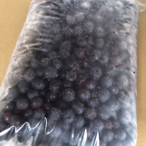 樹上完熟ブルーベリー　冷凍【訳あり】