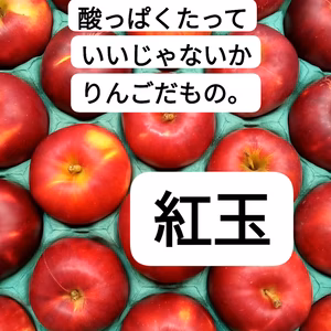 酸っぱくたっていいじゃないか　りんごだもの。　紅玉アウトレット品　５キロ