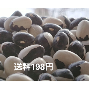 【お徳用】ぽっけのパンダ豆【北海道自然栽培】