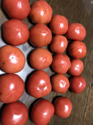 みんなの投稿の画像