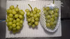 梨、李、シャインマスカット
