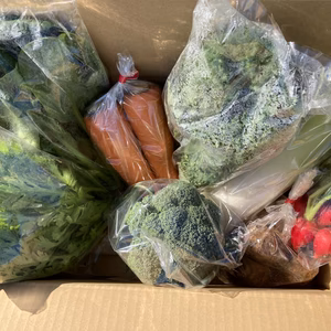 食べ頃”旬”野菜せっと（5品）クール便【農薬、化学肥料なし】