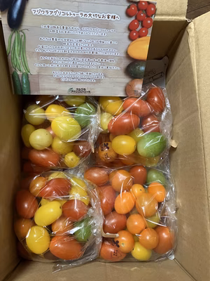 みんなの投稿の画像