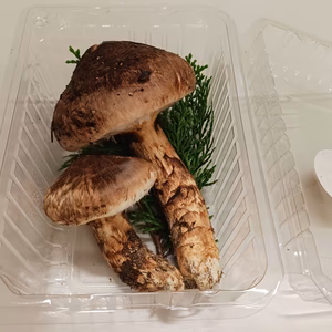 花笑み農園　岡山の訳あり『松茸』