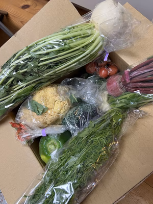 みんなの投稿の画像