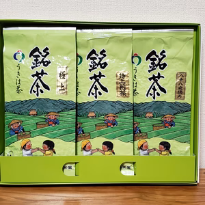 贈り物の定番商品《緑茶 100g×3本》