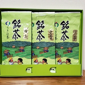 贈り物の定番商品《緑茶 100g×3本》