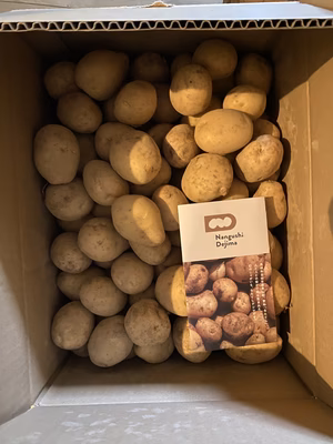 みんなの投稿の画像