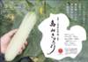 150年以上、種を繋いできた伝統野菜！　高山きゅうり