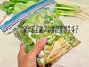 信州産 [レシピ付] 漬物以外もアレンジ自在！春の野沢菜