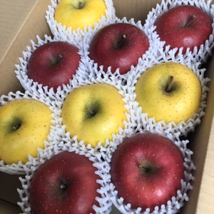 [学校給食でも大人気!!]江刺のりんご3㎏　サンふじ・シナノゴールド家庭用