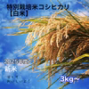 大地の恵みいっぱい【特別栽培米】コシヒカリ白米