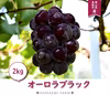 A-2 花笑み農園　岡山の『オーロラブラック』約２ｋｇ（３～４房）9月上旬～