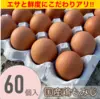 エサと鮮度にこだわりアリ！　×60個・箱入り国産鶏種もみじのタマゴ！