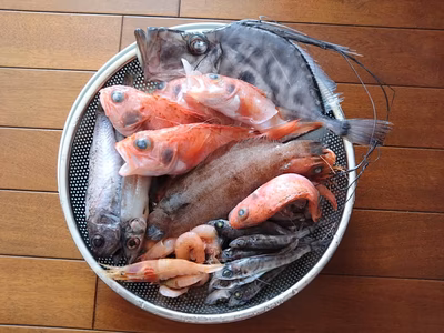 みんなの投稿の画像