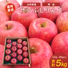 【送料無料】山形県産 サンふじ りんご 5kg (12～20玉入）