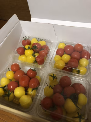 みんなの投稿の画像