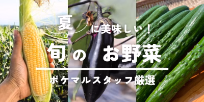 【2024年版】夏に美味しい旬の野菜（とうもろこし・きゅうり・なすなど）予約・購入も